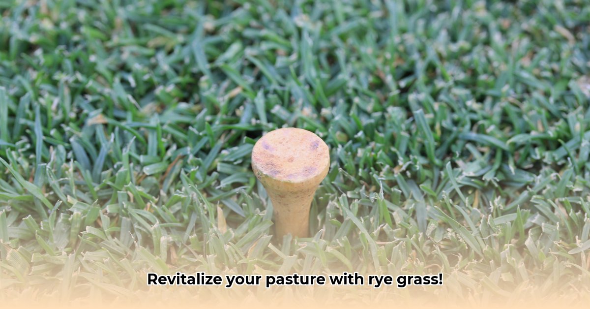 rye-grass-seed-tractor-supply